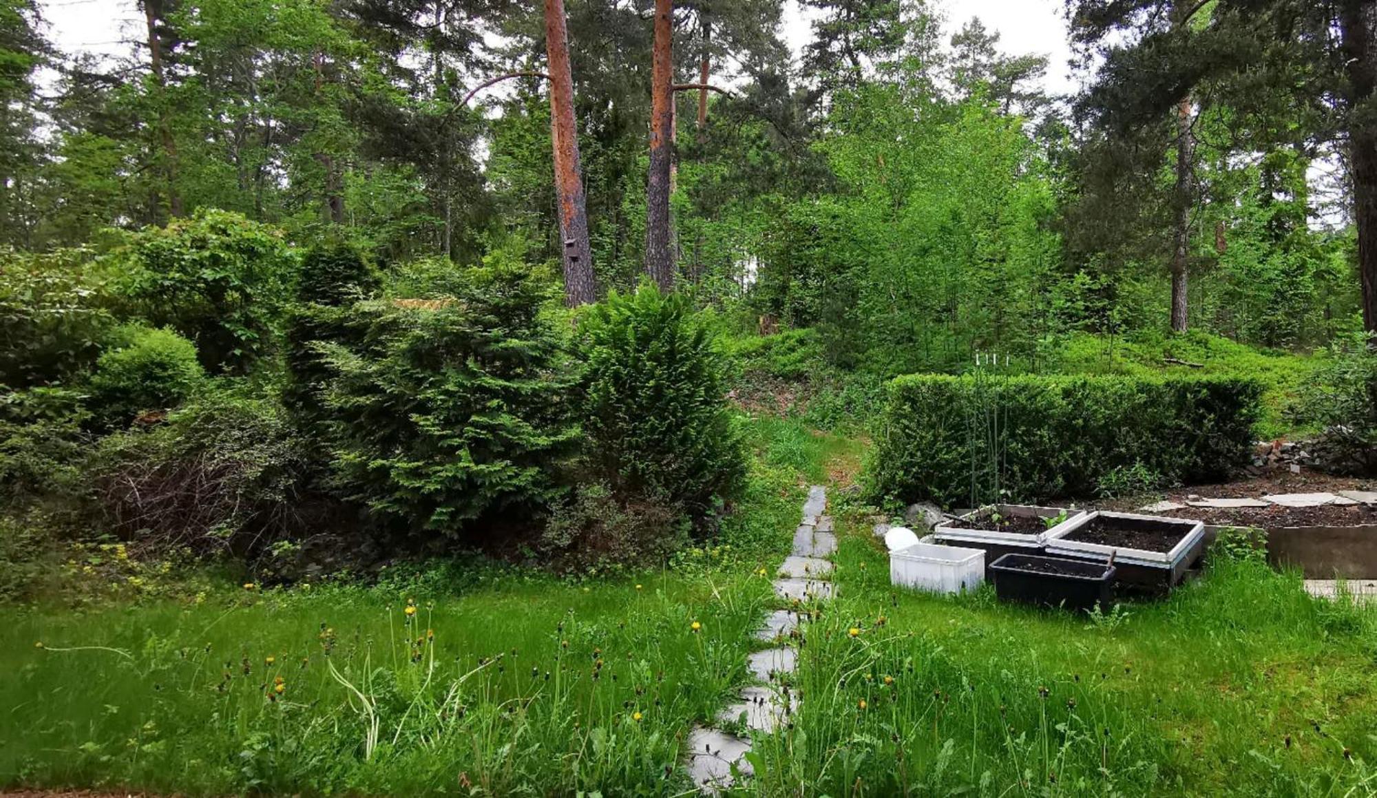 Holmenkollen Forest House Free Parking Apartment Oslo Exterior photo