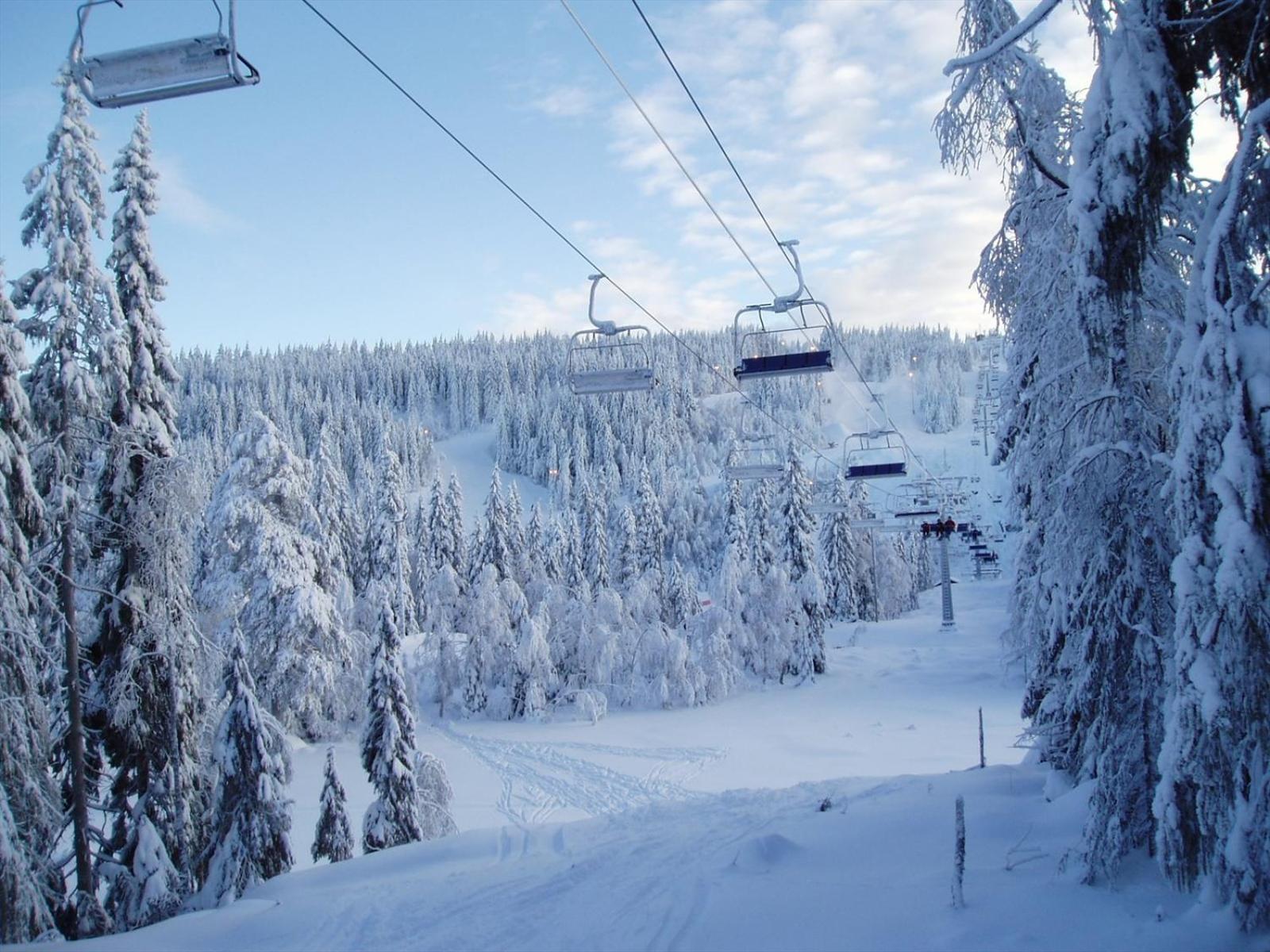 Holmenkollen Forest House Free Parking Apartment Oslo Exterior photo